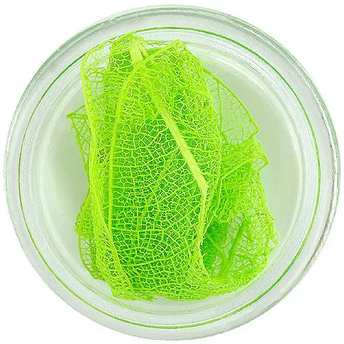 Světle zelené sušené listy